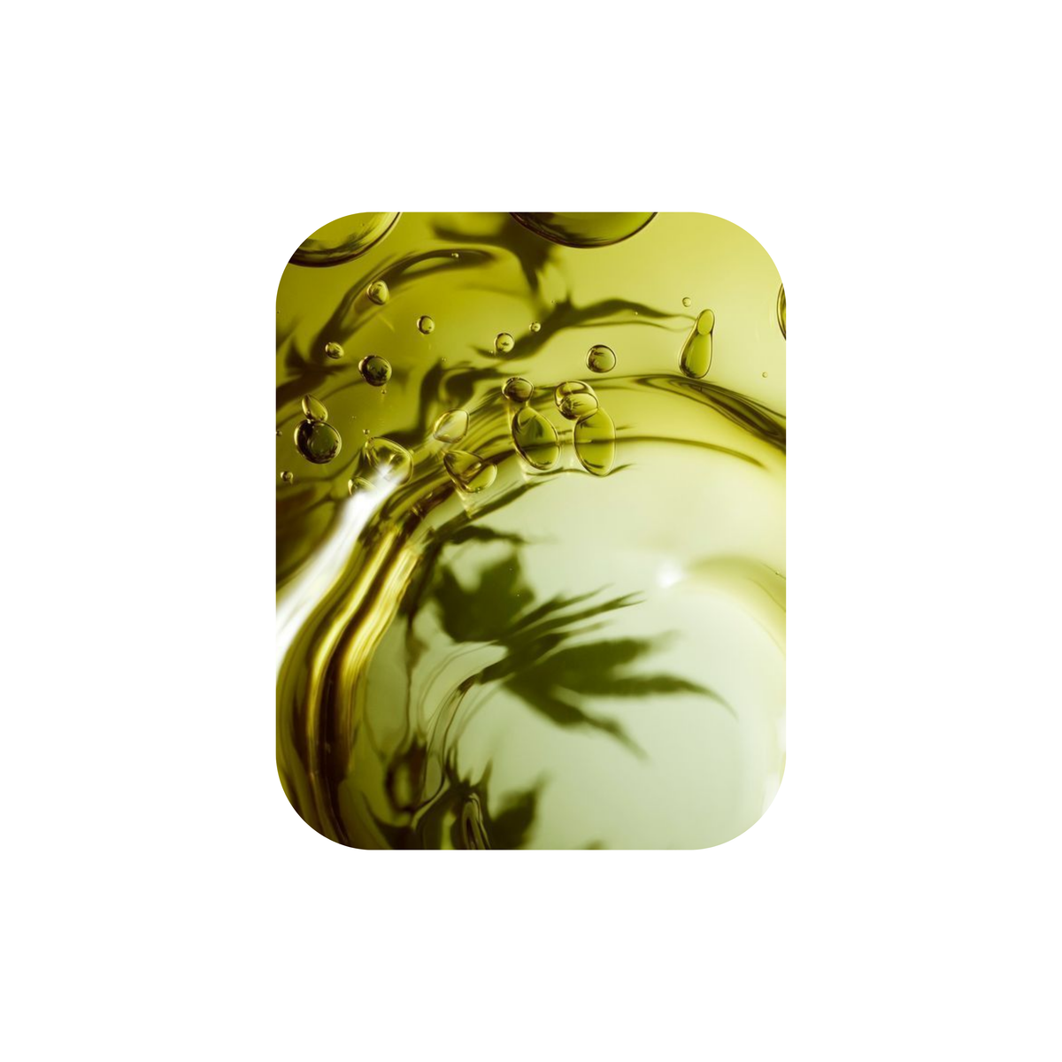 AL-Saad Oil| زيت السعد