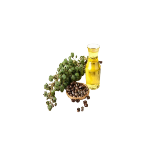 Castor Oil| زيت الخروع