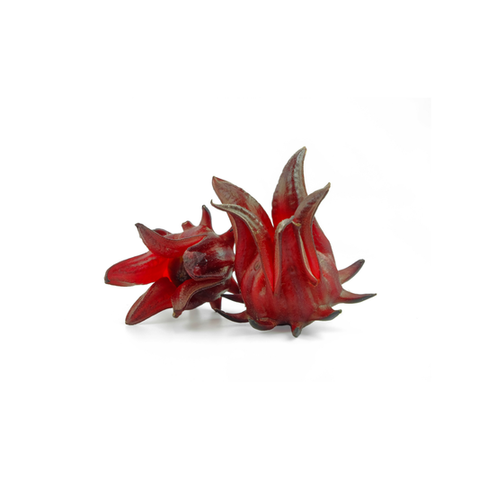 Hibiscus|كركديه