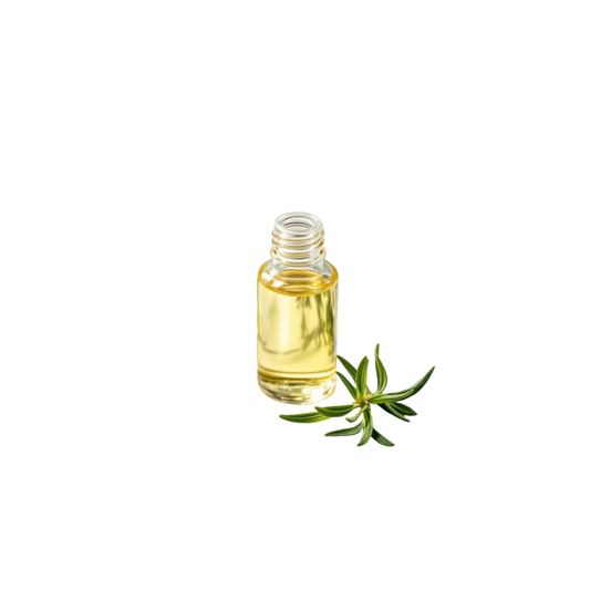 Rosemary Oil| زيت اكليل الجبل