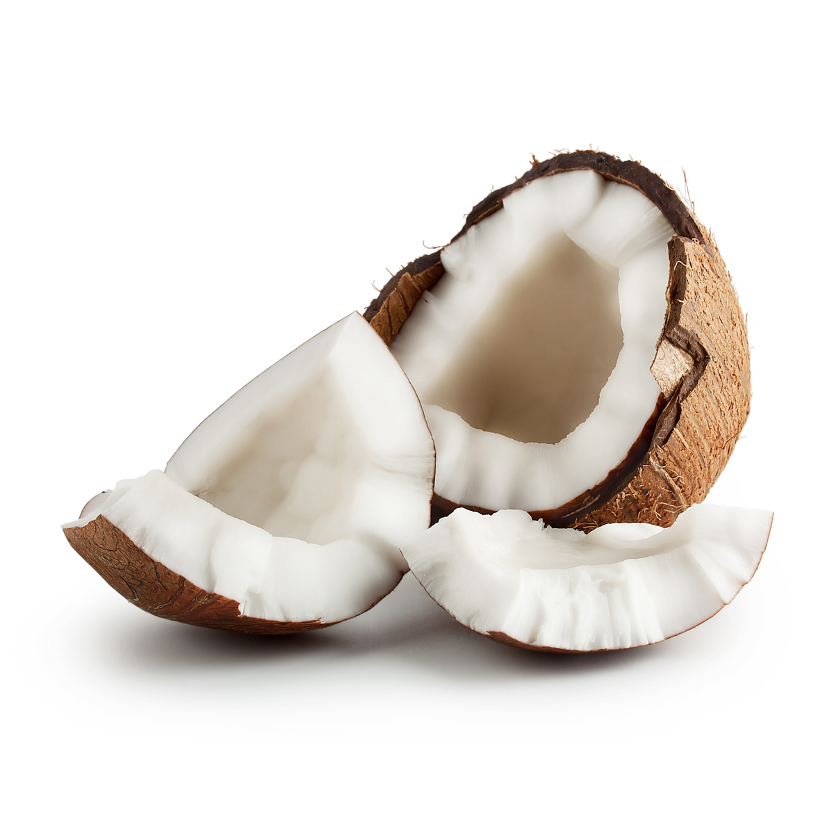 جوز الهند | Coconut