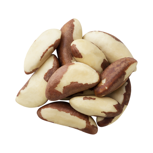 جوز برازيلي | Brazil Nuts