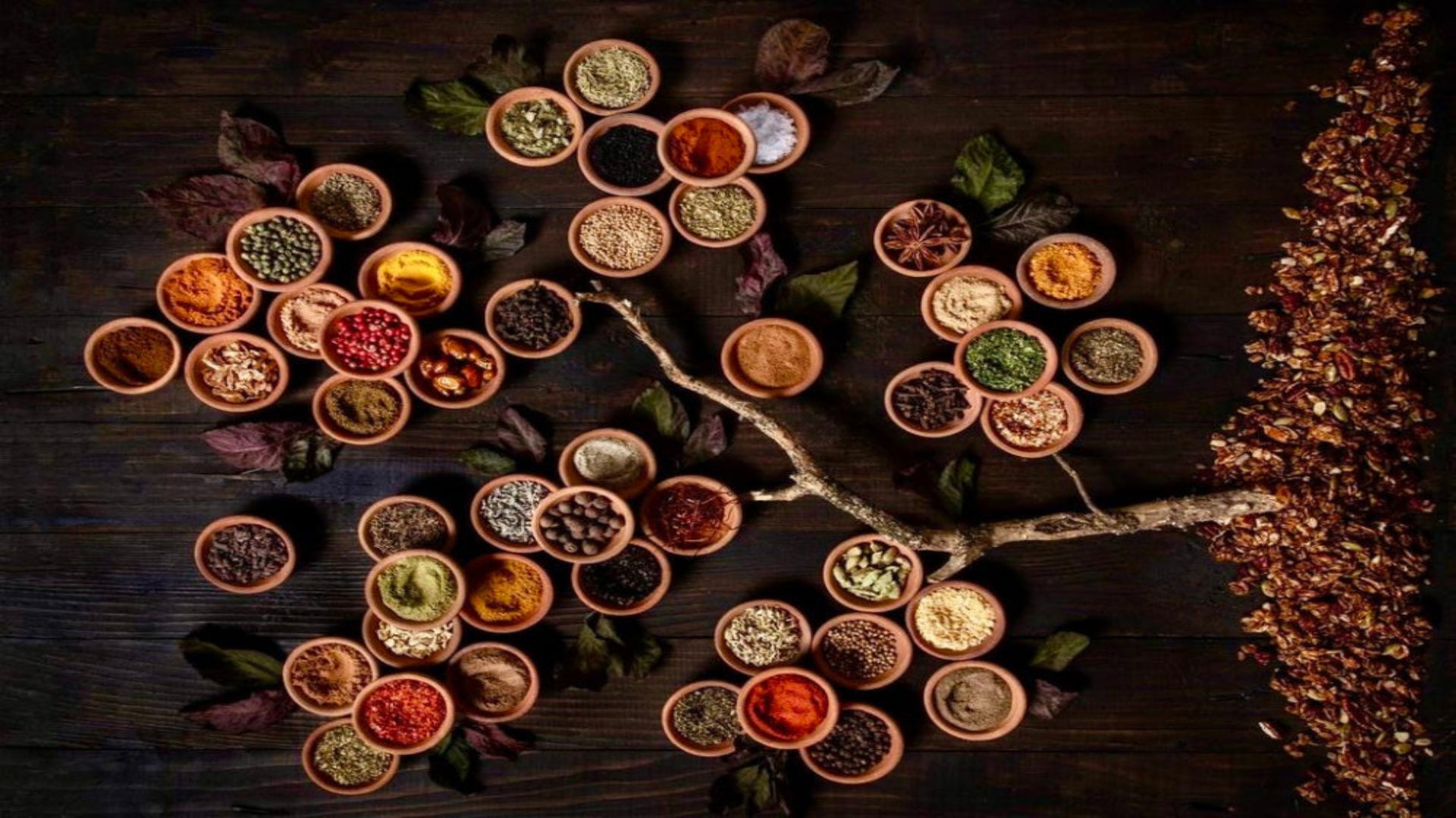 An overhead flat-lay arrangement of many small terracotta bowls filled with assorted spices and herbs, placed on a dark wooden surface with scattered leaves and a dried botanical strip along the right side.
